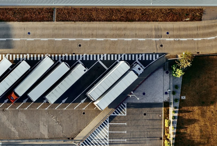 Años de experiencia en el mercado local canario