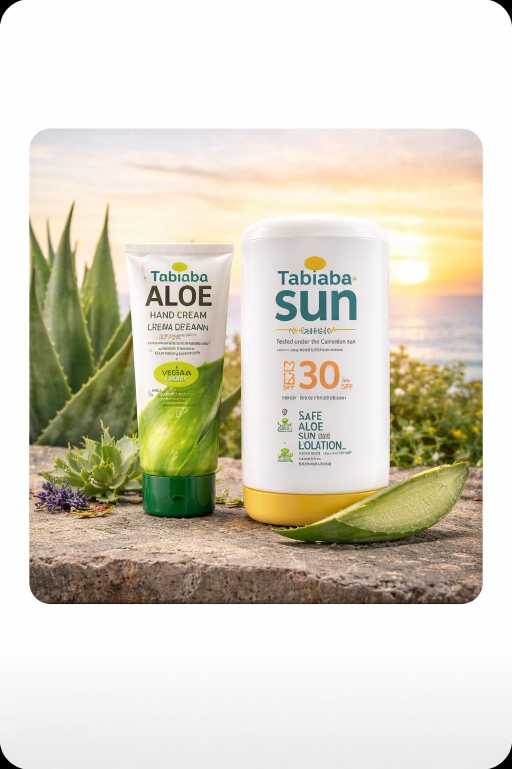 Logos de Tabaibaloe y Tabaibasun, nuestras marcas propias